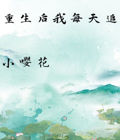 重生后我每天追夫火葬场