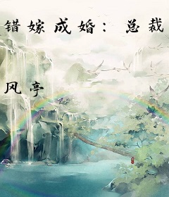 错嫁成婚:总裁的私宠甜妻