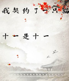 我契约了一只猫