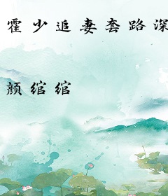 霍少追妻套路深