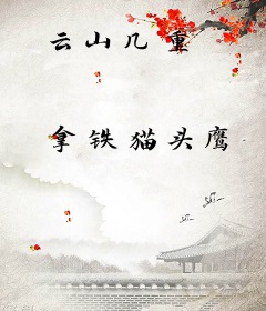 云山几重