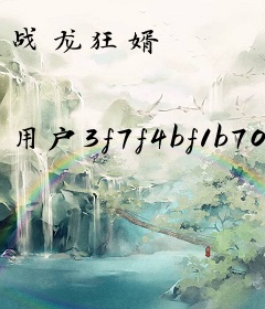 战龙狂婿