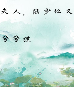 夫人，陆少他又爆马甲了