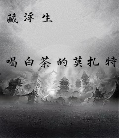 藏浮生