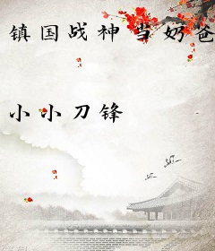 镇国战神当奶爸