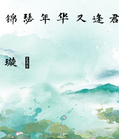 锦瑟年华又逢君