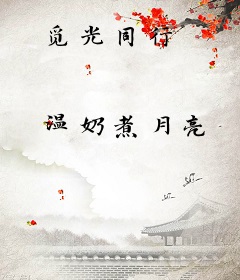 觅光同行