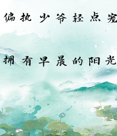 偏执少爷轻点宠