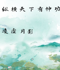 纵横天下有神功