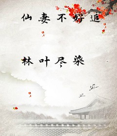 仙妻不好追
