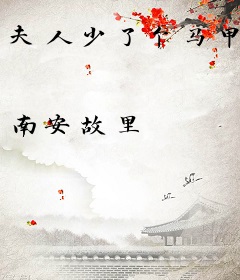 夫人少了个马甲