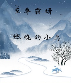 至尊霸婿