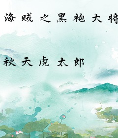 海贼之黑袍大将