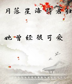 月落星海待君归