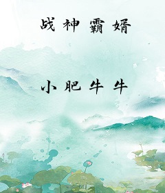 战神霸婿