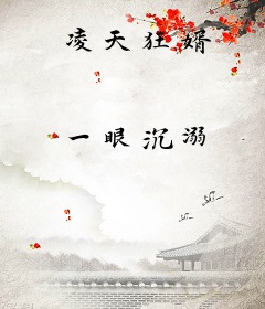 凌天狂婿