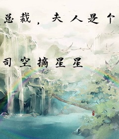 总裁，夫人是个马甲精
