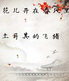 花儿开在春风里
