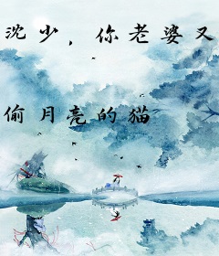 沈少，你老婆又跑了