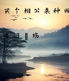 买个相公来种田