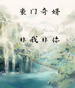 豪门奇婿