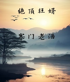 绝顶狂婿
