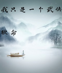 我只是一个武侠小子