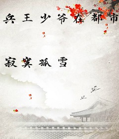 兵王少爷在都市