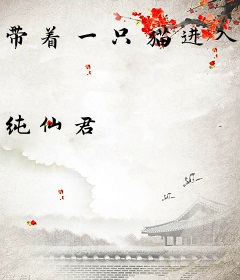 带着一只猫进入叠加态