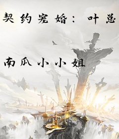 契约宠婚：叶总的意难平