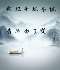 疯狂手机系统
