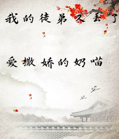 我的徒弟又丢了