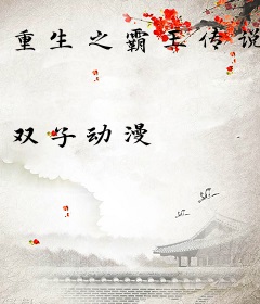 重生之霸王传说