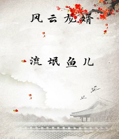 风云龙婿