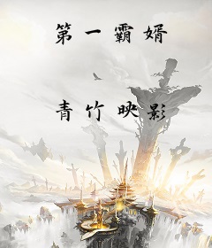 第一霸婿