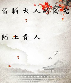 首辅大人的团宠崽崽