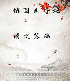 镇国世子妃