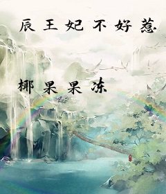 辰王妃不好惹