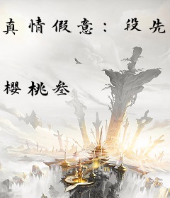 真情假意：段先生别来无恙