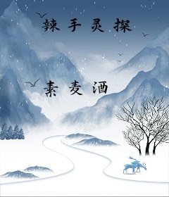 辣手灵探