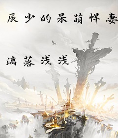 辰少的呆萌悍妻