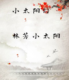 小太阳们
