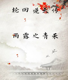 轮回逆天传