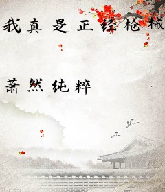 我真是正经枪械师