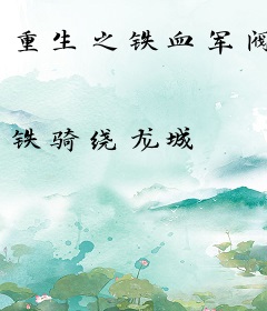 重生之铁血军阀