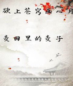欲上苍穹画心月
