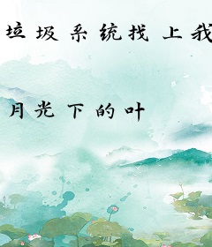垃圾系统找上我