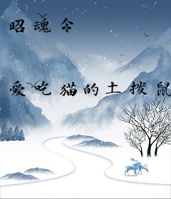 昭魂令