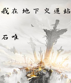 我在地下交通站里当贾贵