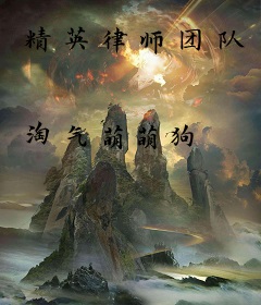 精英律师团队